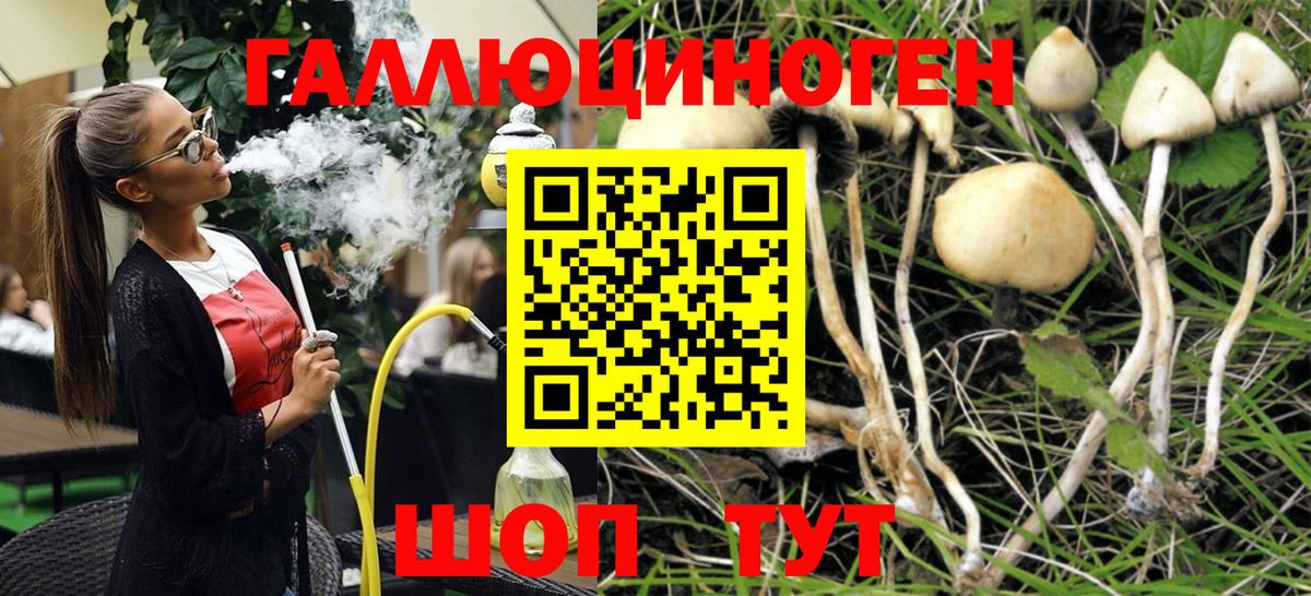 Галлюциногенные грибы мицелий Железноводск