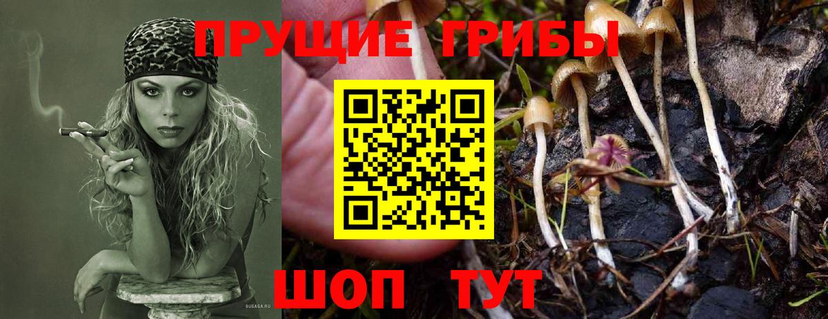 А ПВП Железноводск